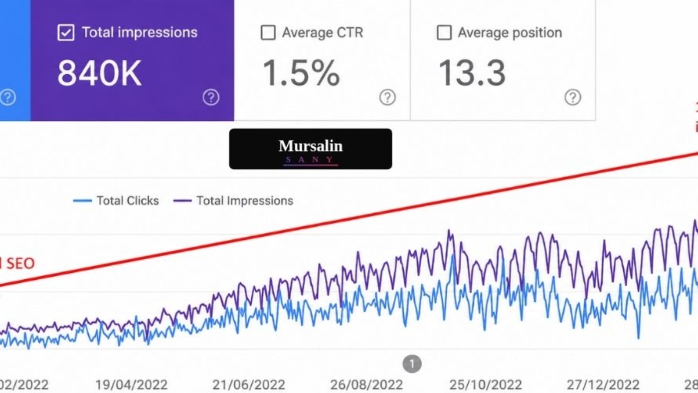 SEO Case Case Studies