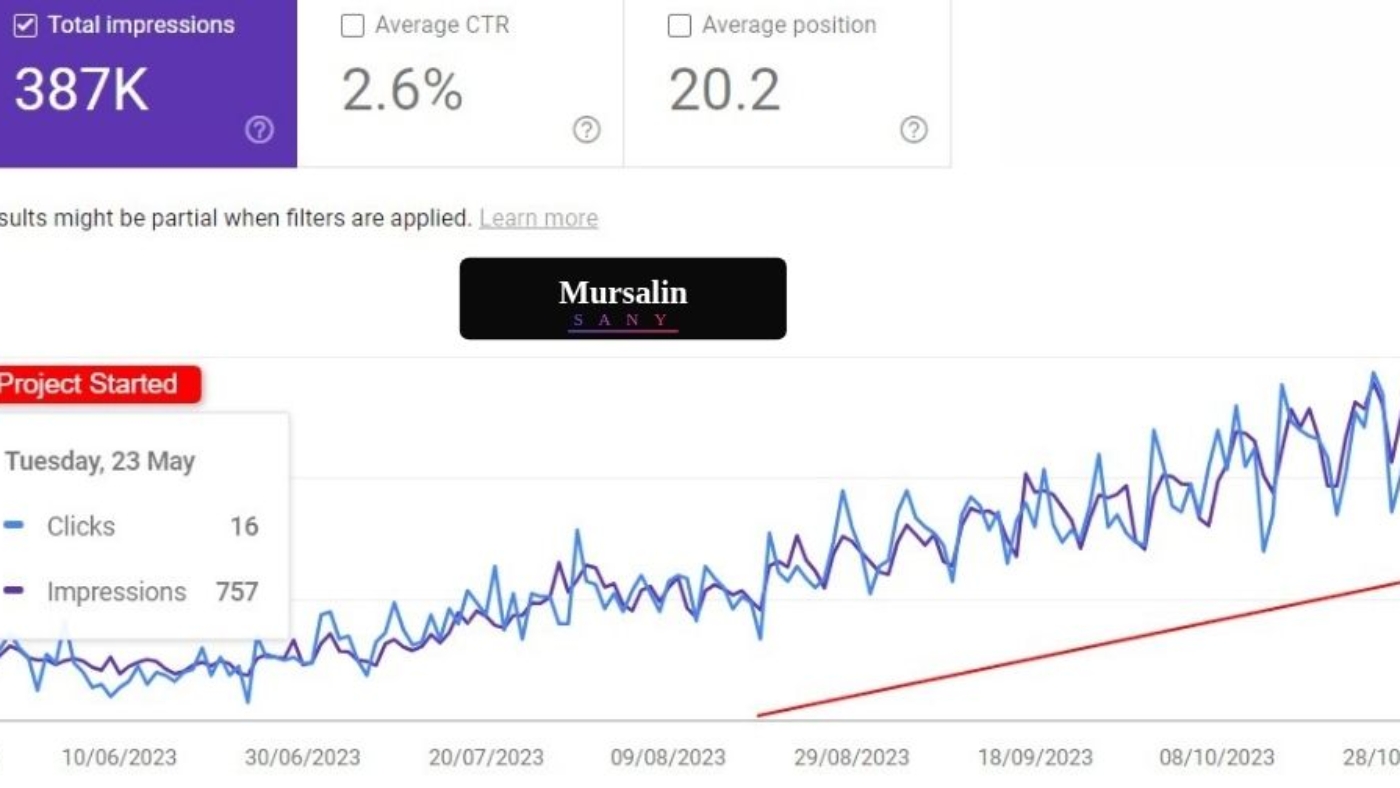 SEO Case Case Studies 2
