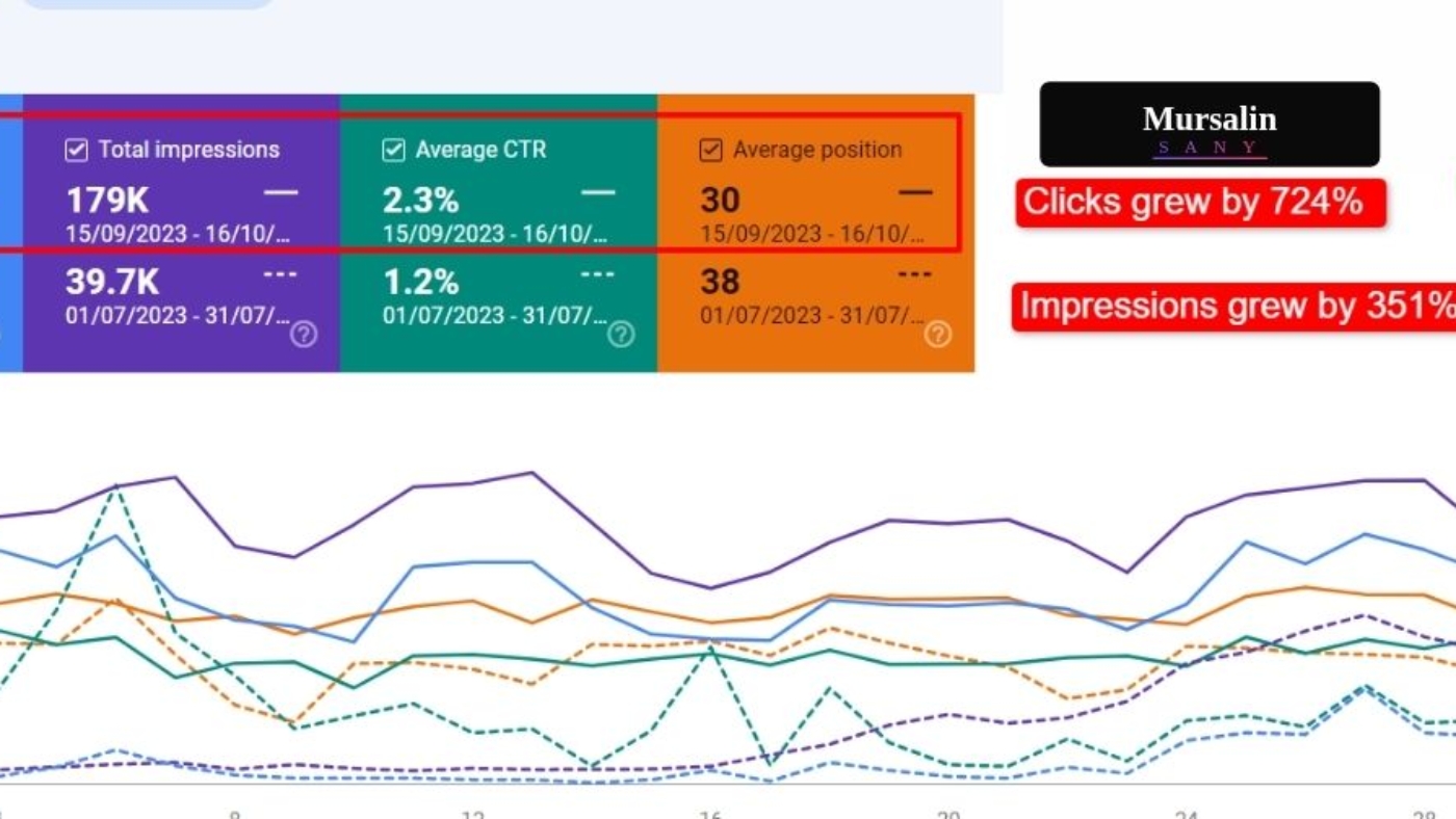 SEO Case Case Studies 3